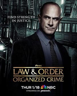 法律与秩序：组织犯罪 第肆季